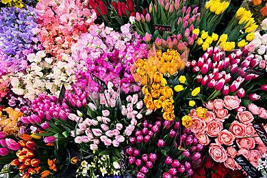 Switch2底座故障引发用户不满 多方渠道出现售后难题